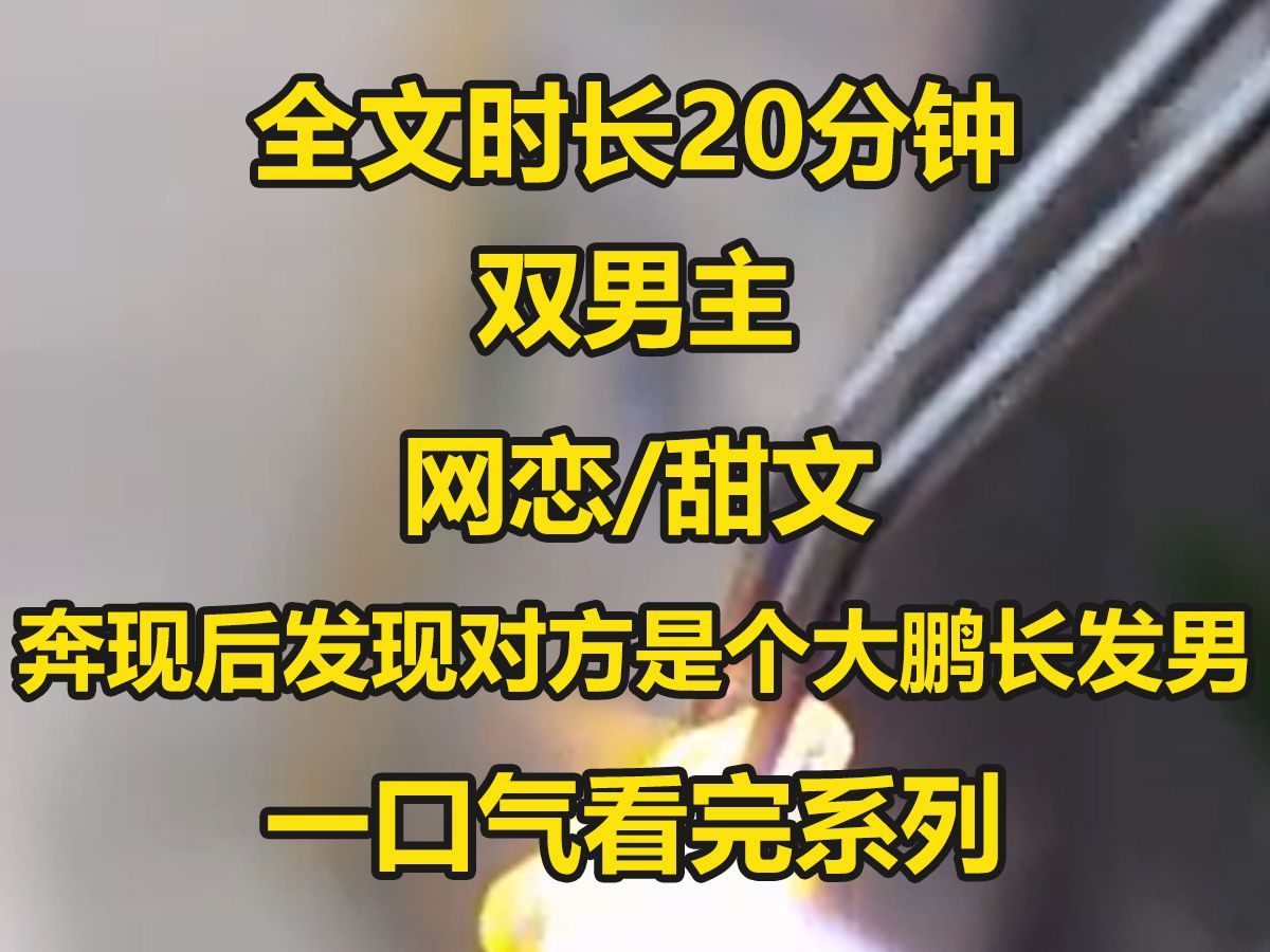 【双男主已完结】和网恋一年的对象奔现后,发现他竟然是个男的,我彻底崩溃了,于是我就和他打起来了,谁承想打着打着...哔哩哔哩bilibili