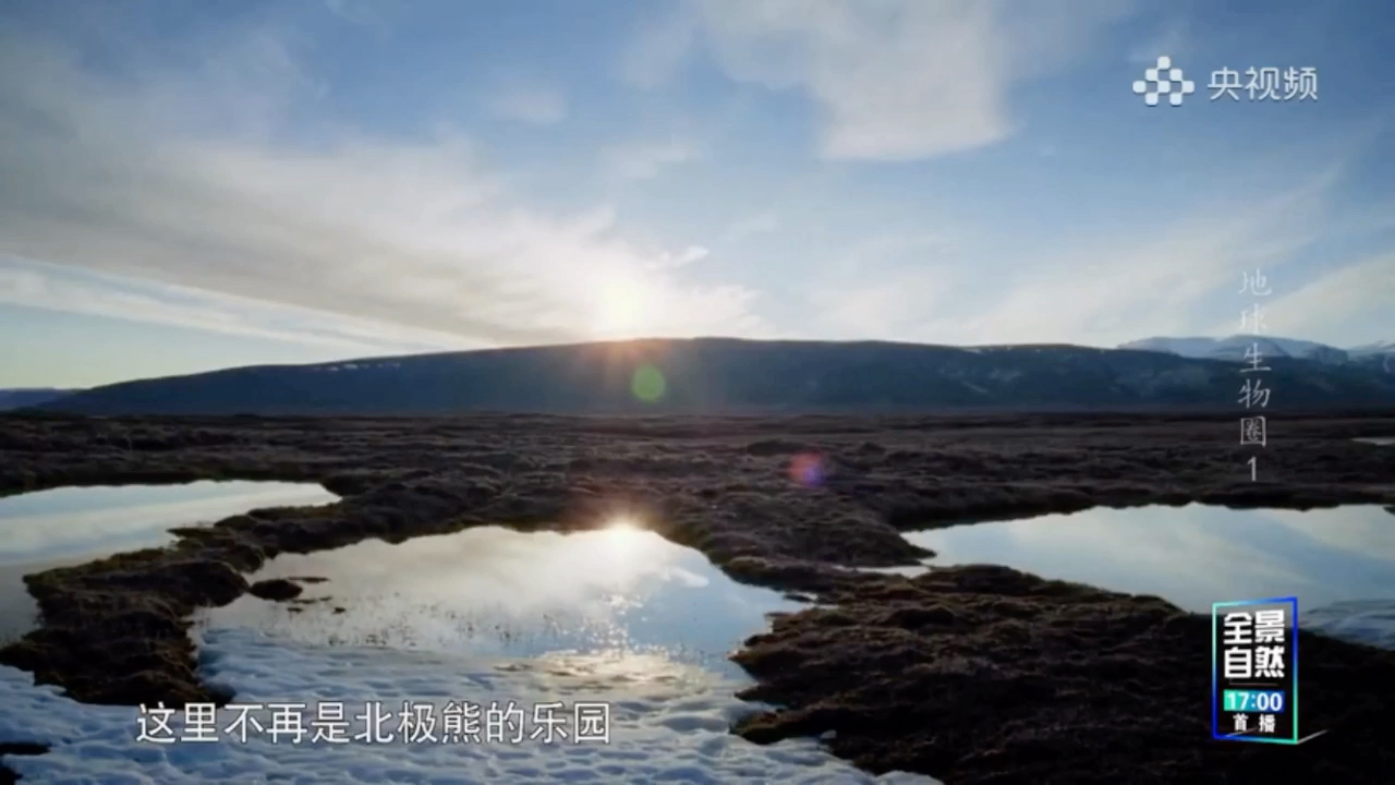 [图]地球生物圈 第一集