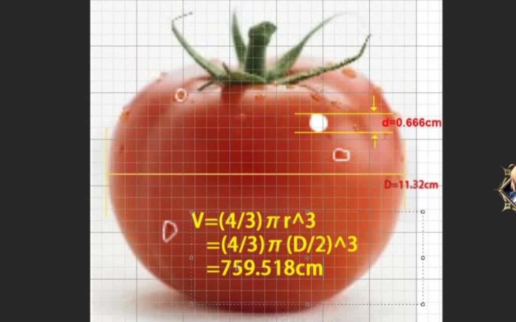 [图]我算出了这颗老番茄的尺寸，b站第一人