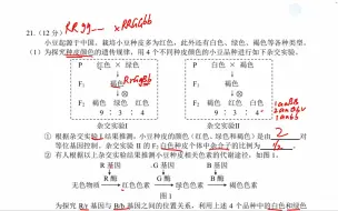 Download Video: 北京西城区2022-2023学年度第一学期期末高三生物21