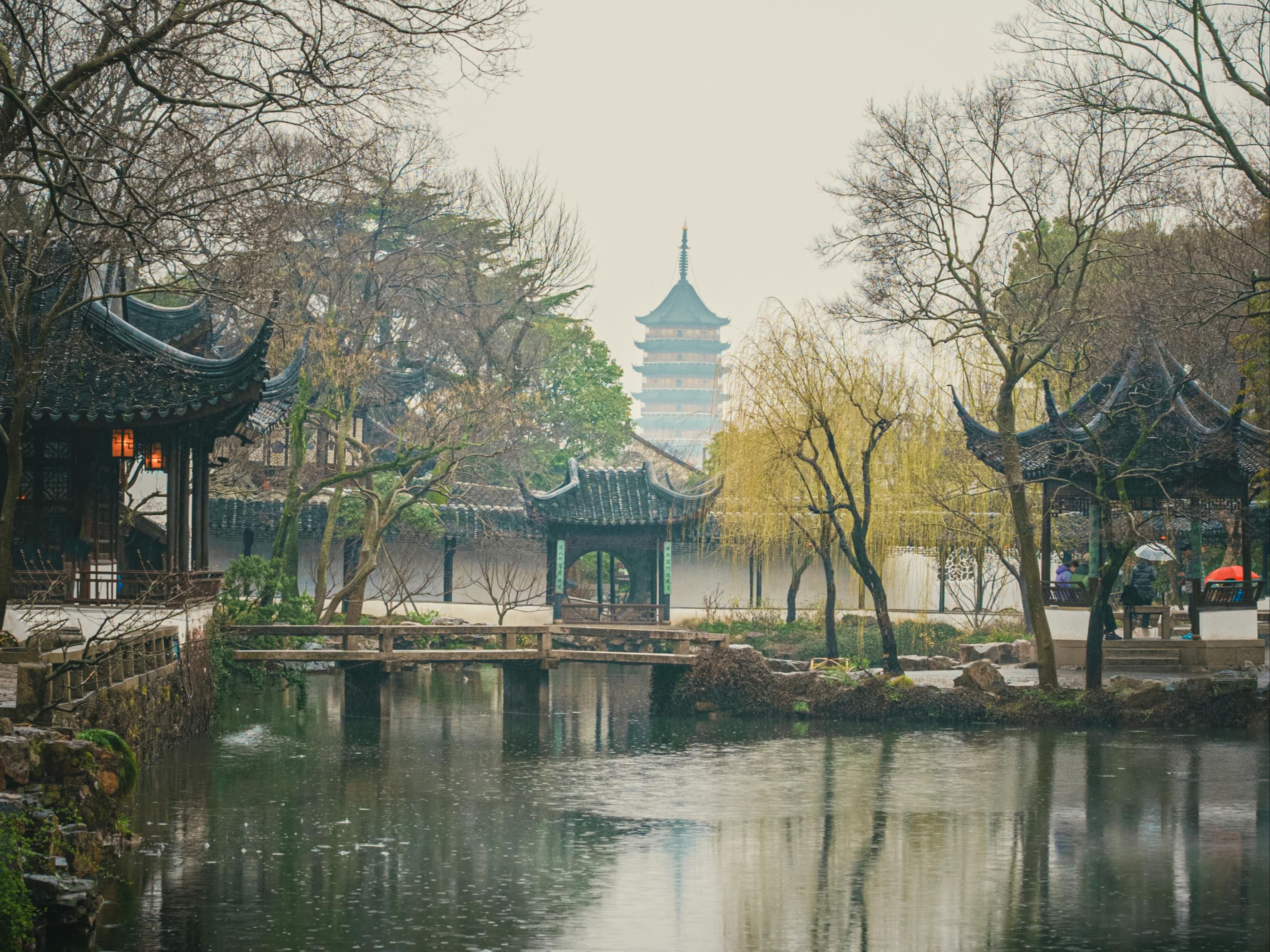 下雨天的早晨,我拍到了最江南的景色|苏州拙政园哔哩哔哩bilibili