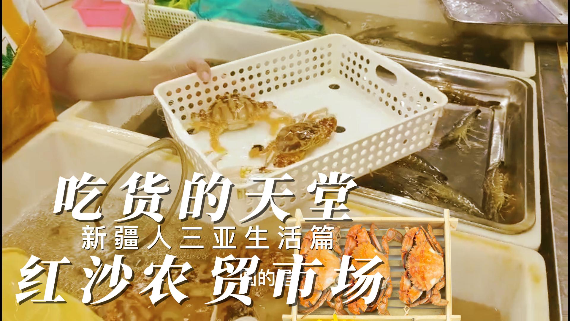 新疆人三亚生活篇红沙海鲜市场购鲜体验