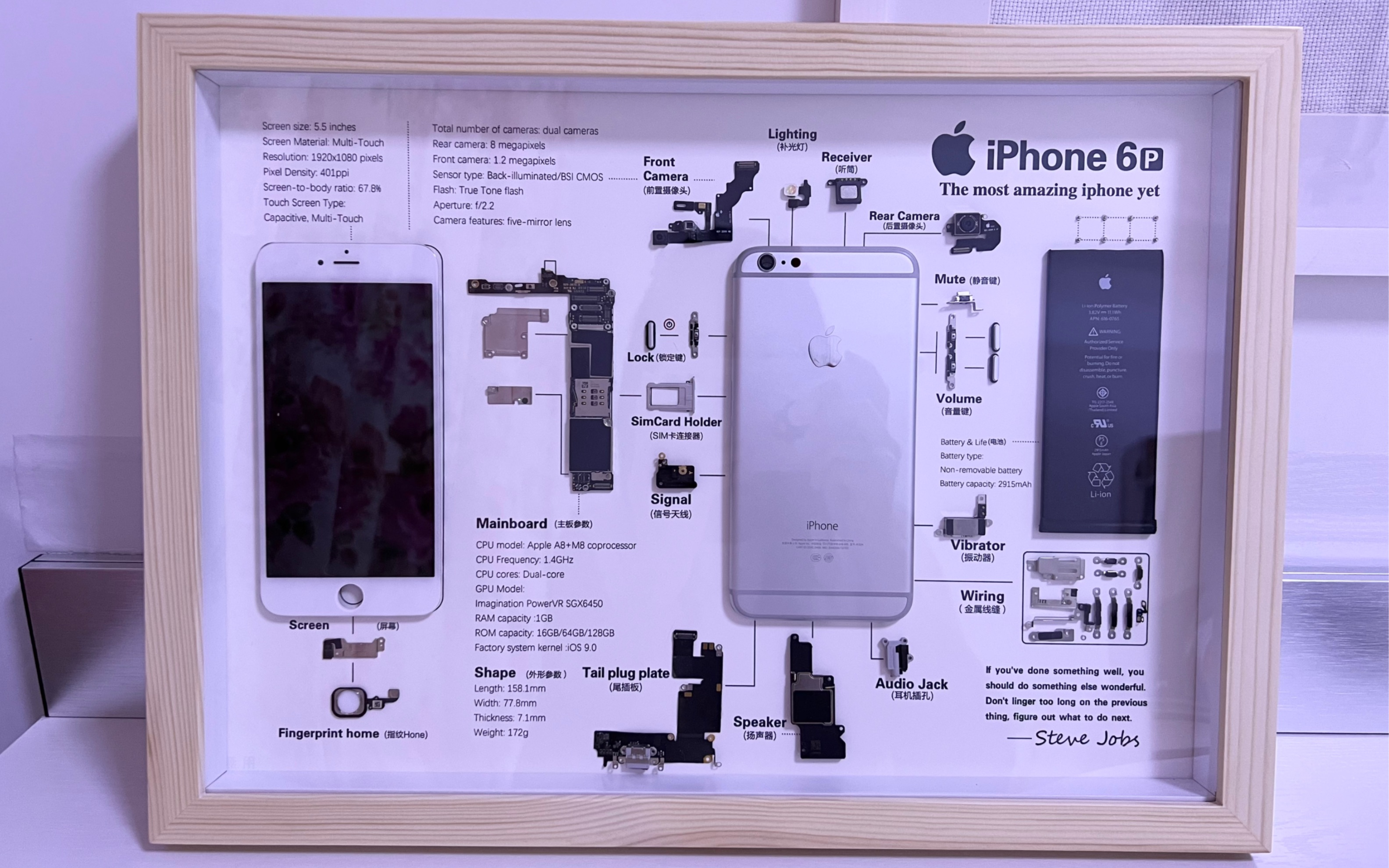 我把iphone6p拆了做标本