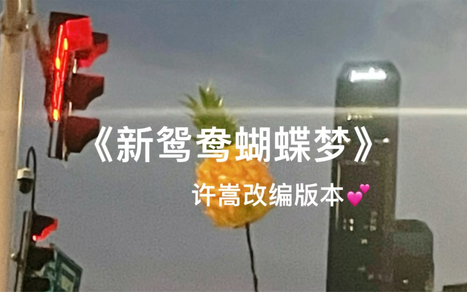 翻唱|《新鸳鸯蝴蝶梦》许嵩改编版~花花世界鸳鸯蝴蝶哔哩哔哩bilibili