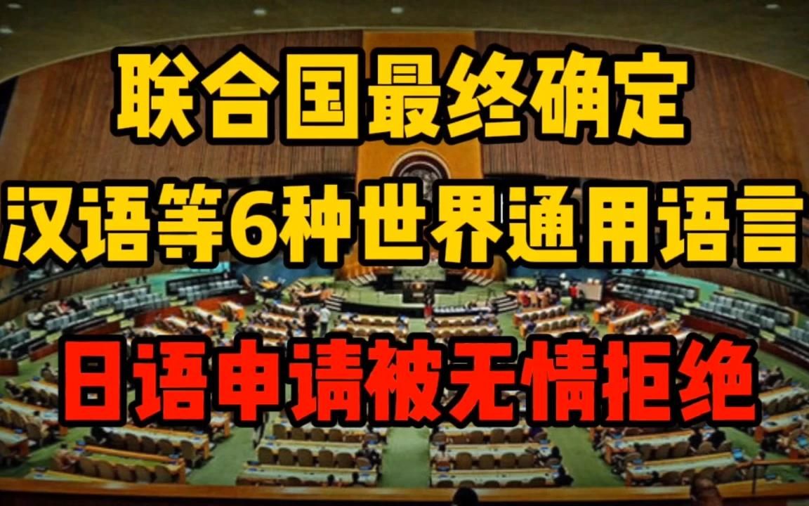 联合国确定:汉语等6种语言为世界通用语,日本申请被无情拒绝哔哩哔哩bilibili