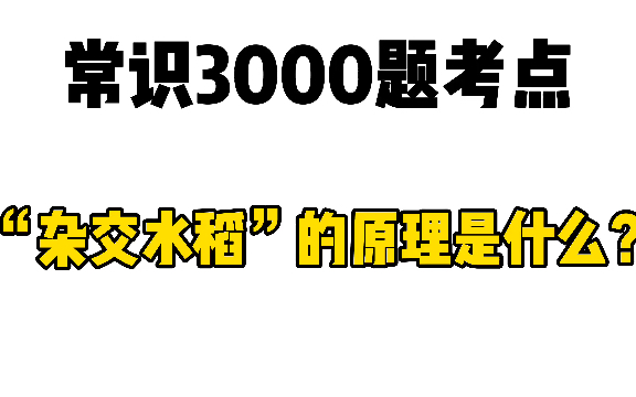 常识3000题考点:“杂交水稻”的原理是什么?哔哩哔哩bilibili