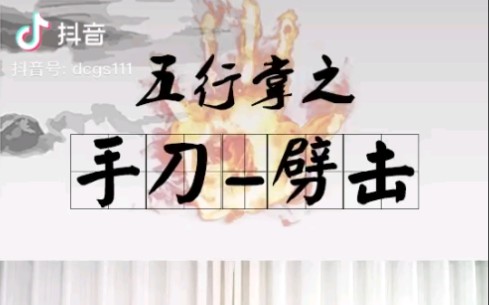 【搬运】典传心意陆功翰先生演示典传心意五行掌手刀劈击技术哔哩哔哩bilibili