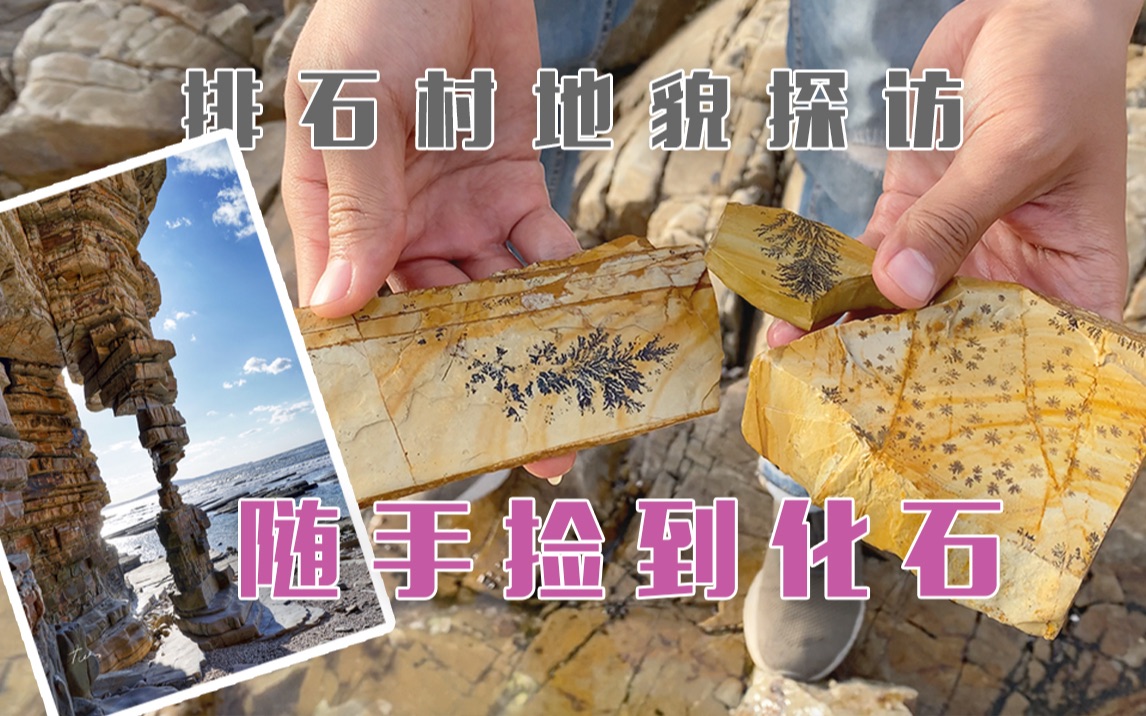 [图]探访排石村海蚀地貌奇观，随手捡到海草化石【大连】