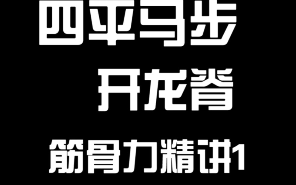 #四平马步 发劲的核心秘密.开龙脊.筋骨力精讲1哔哩哔哩bilibili