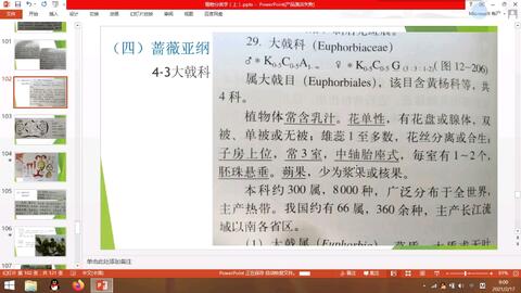 生物奥赛寒假植物分类学学习13 哔哩哔哩
