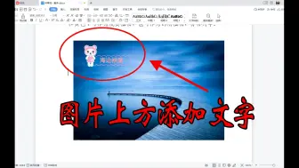 Video herunterladen: WPS文档怎样在图片上添加文字？只需三步，文字能与图片一起移动