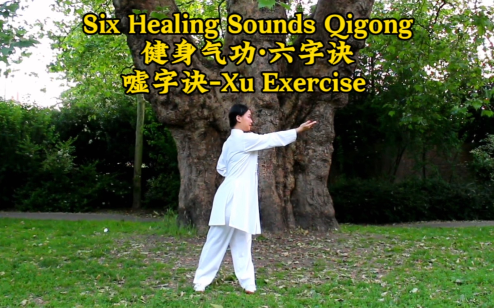 六字訣傳統養生第一部分(噓字訣)中英文版six healing