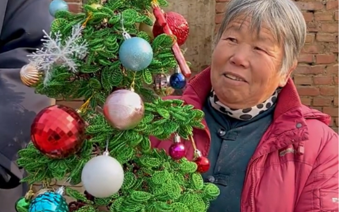 [图]用铁丝制作的圣诞树，祝大家圣诞节快乐！