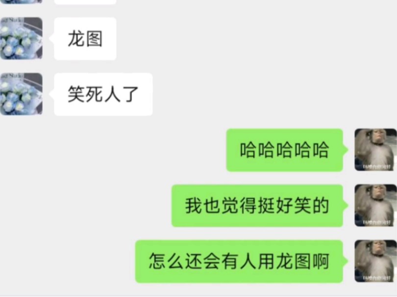 龙图到底是怎么火的???哔哩哔哩bilibili