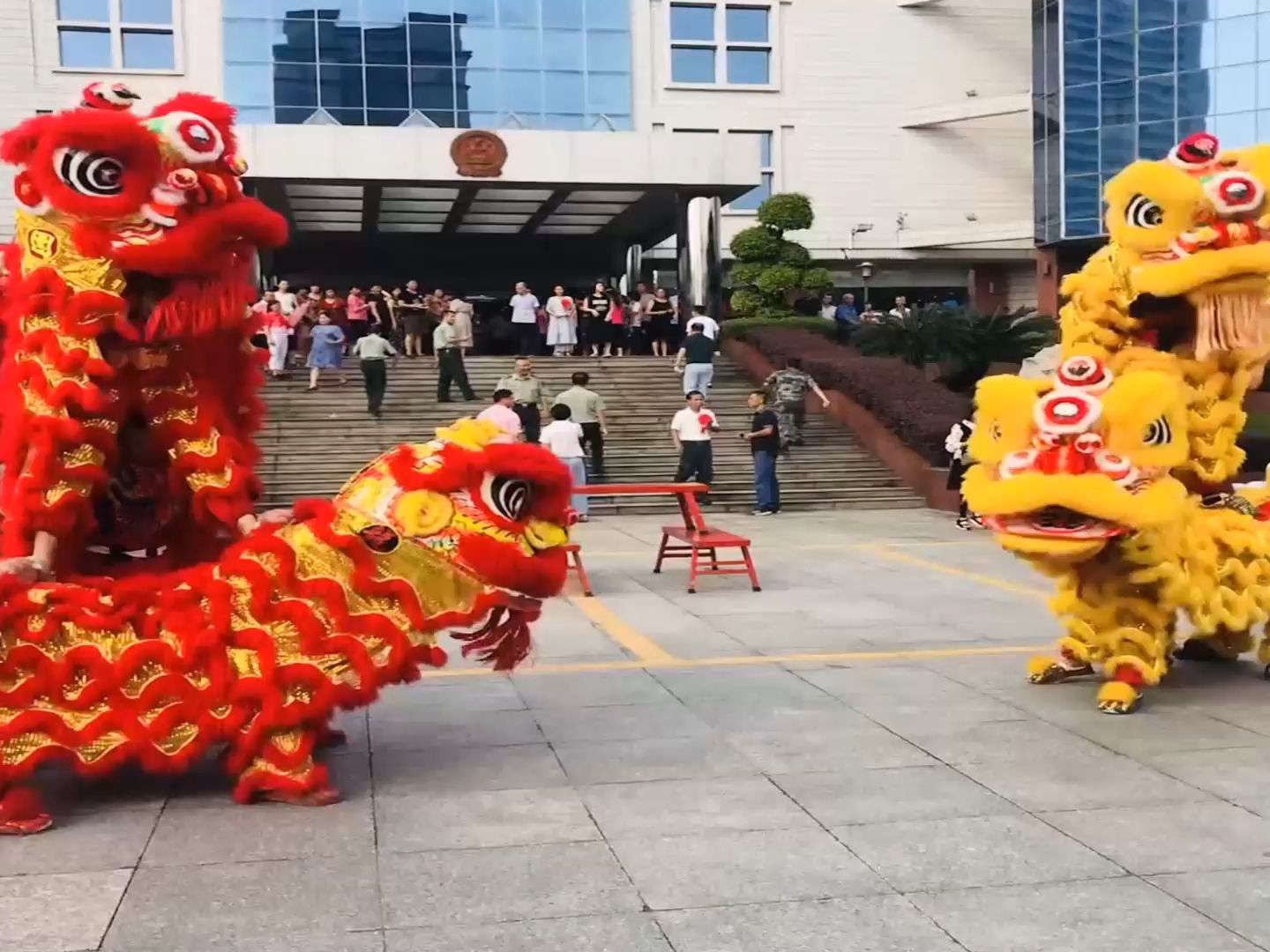 深圳舞獅隊,商場巡場採青,醒獅採青,哪家好