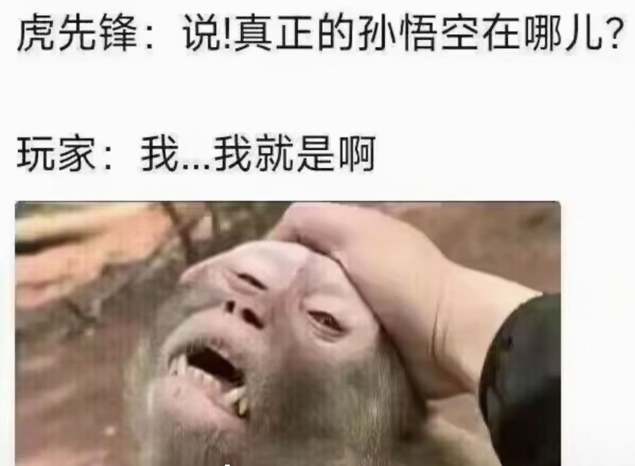 虎先锋:真正的孙悟空在哪? 玩家: 我…我就是啊