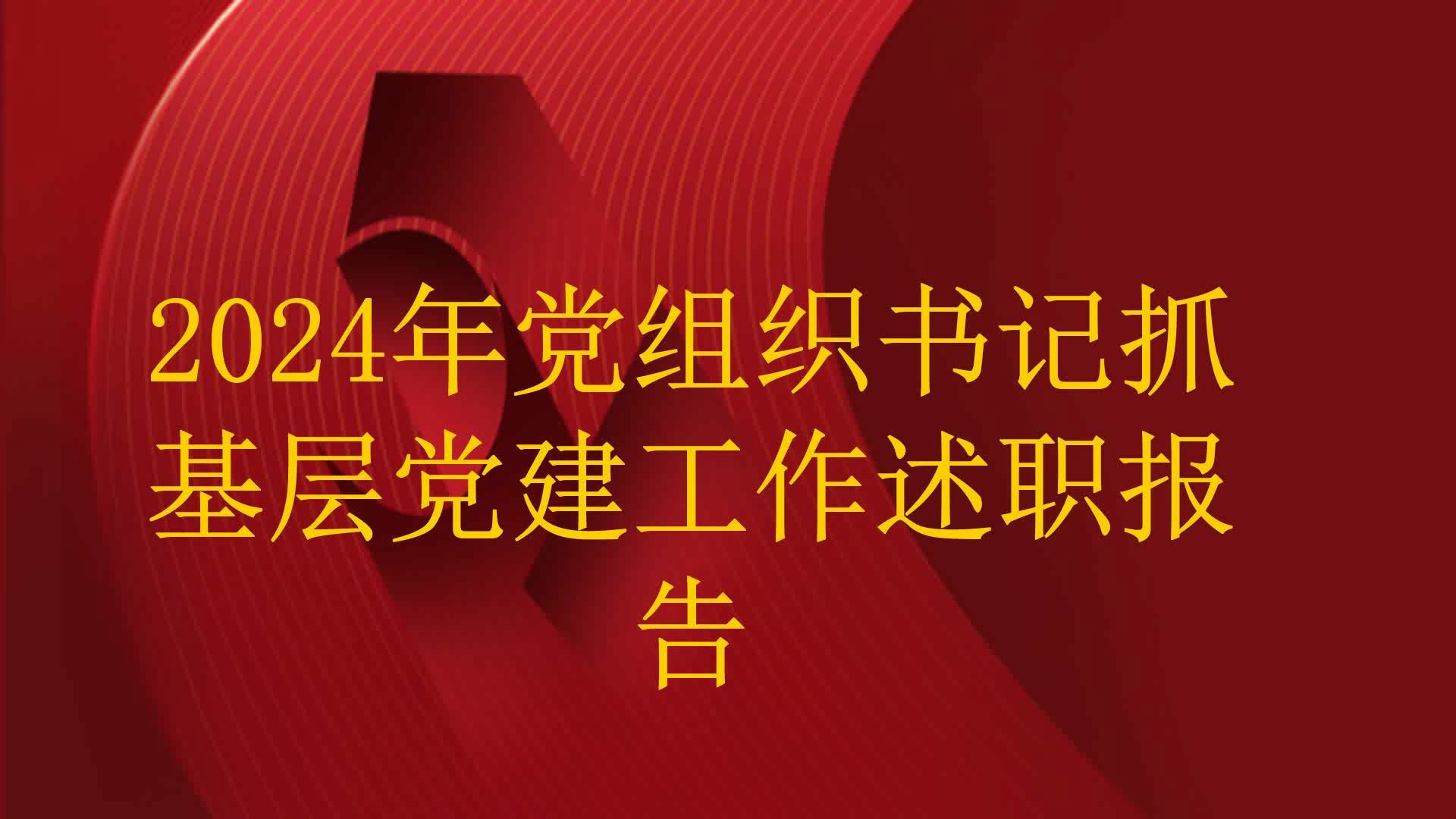 2024年党组织书记抓基层党建工作述职报告哔哩哔哩bilibili