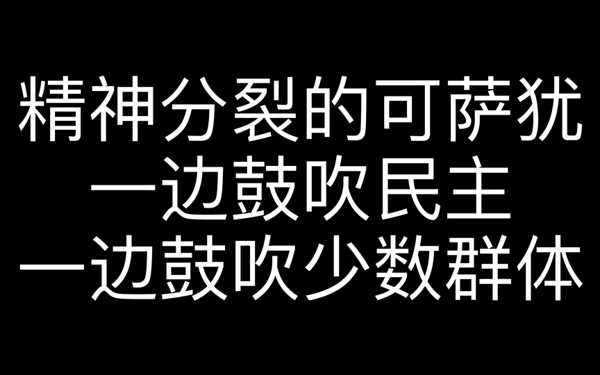 精神分裂的可萨犹太人一边鼓吹民主一边鼓吹少数群体哔哩哔哩bilibili