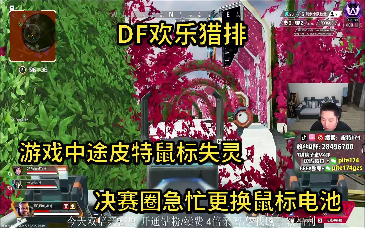 【皮特174/Apex】DF组队打猎排,决赛圈皮特鼠标出现问题,躲在角落瑟瑟发抖换电池网络游戏热门视频