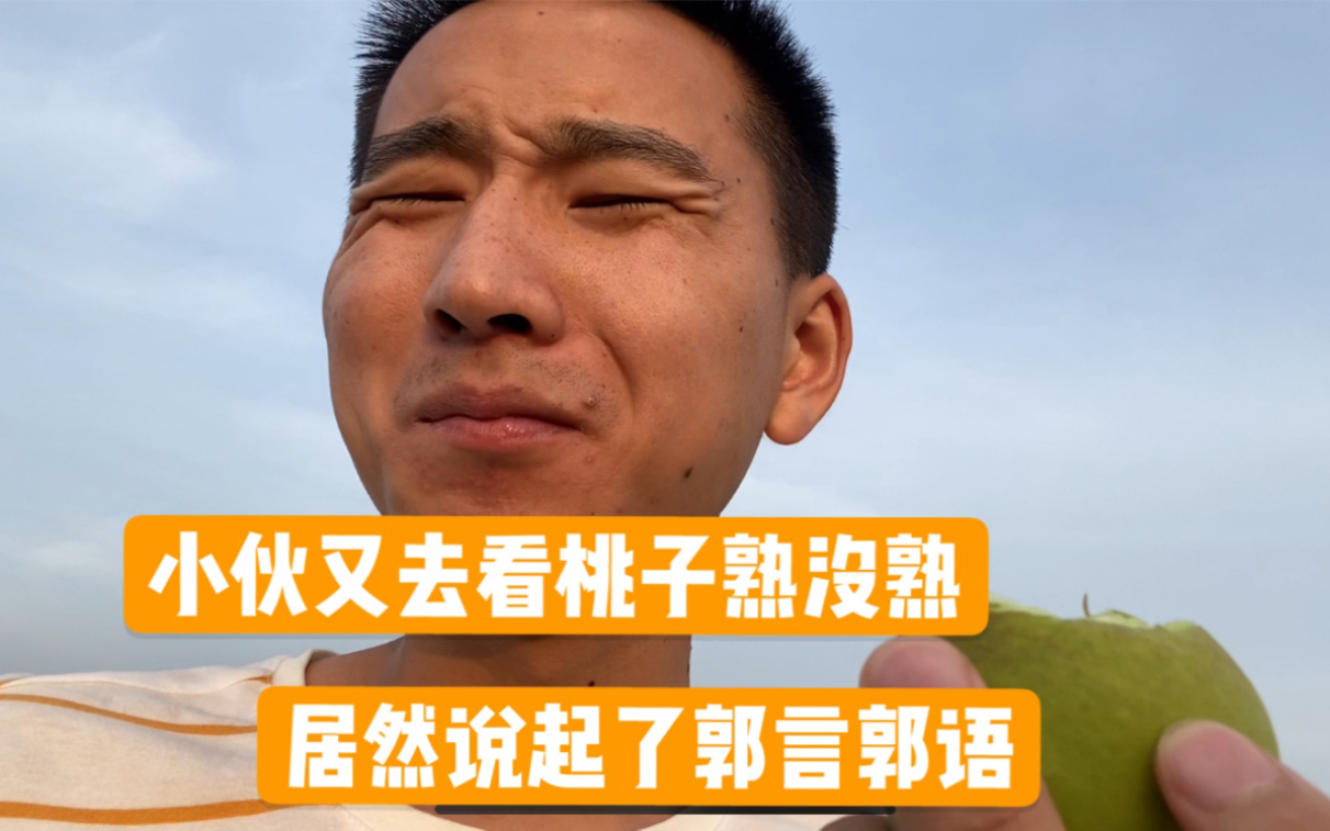 小伙又去看工地上的桃子熟没熟,不知道为何却说起了郭言郭语