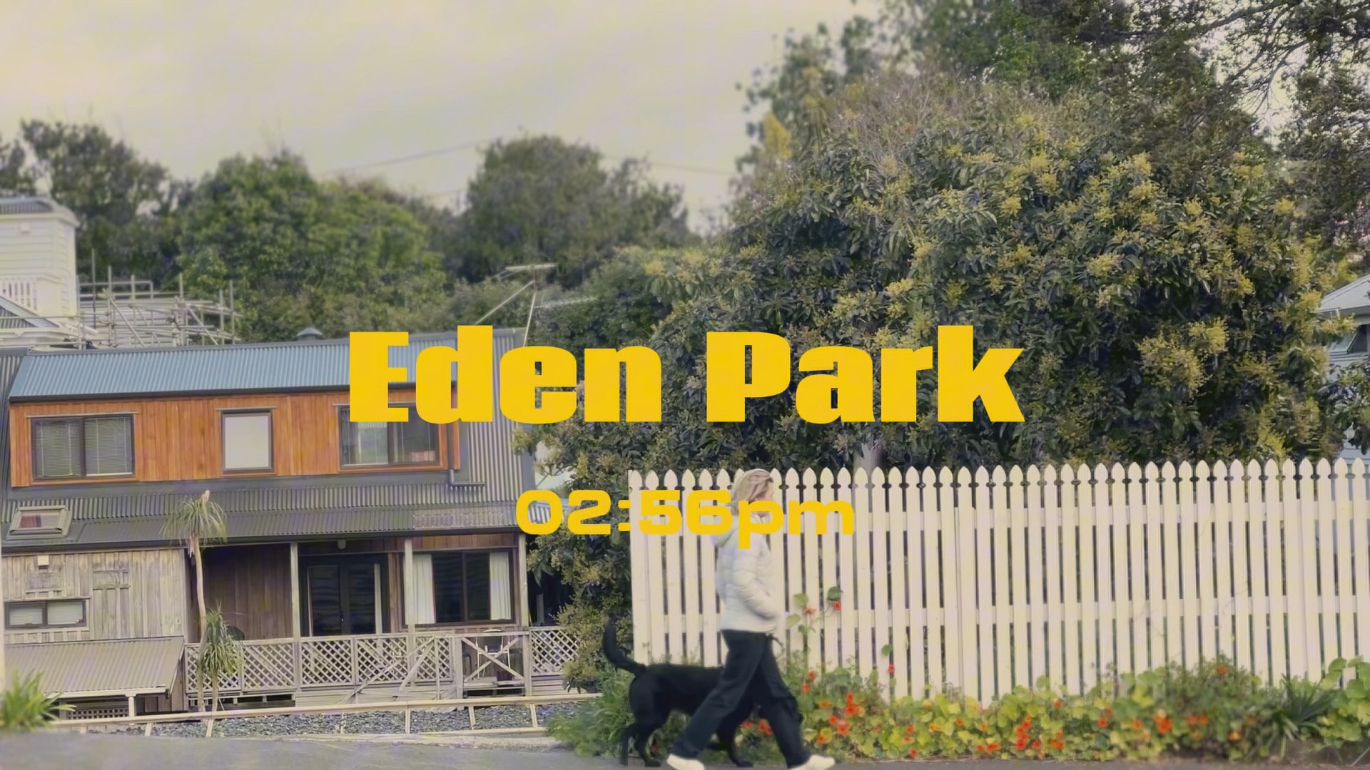 eden park 溜达一圈  新西兰  newzealand  film  奥克兰  auckland