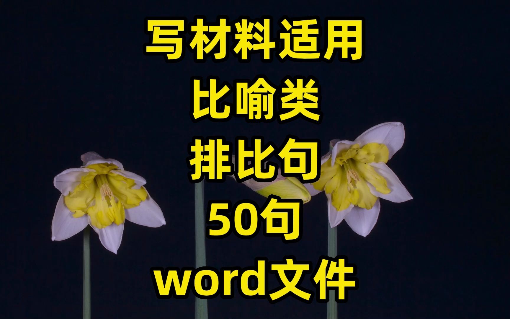 比喻类排比句汇编,50句,有word文件,更多公文写作范文、素材::2gw(加个点)vip哔哩哔哩bilibili