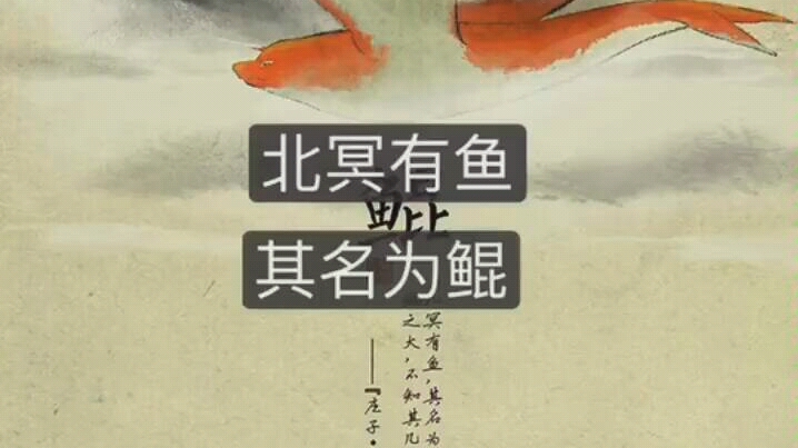北冥有鱼 其名为鲲 南海有花 其名为椿_哔哩哔哩_bilibili