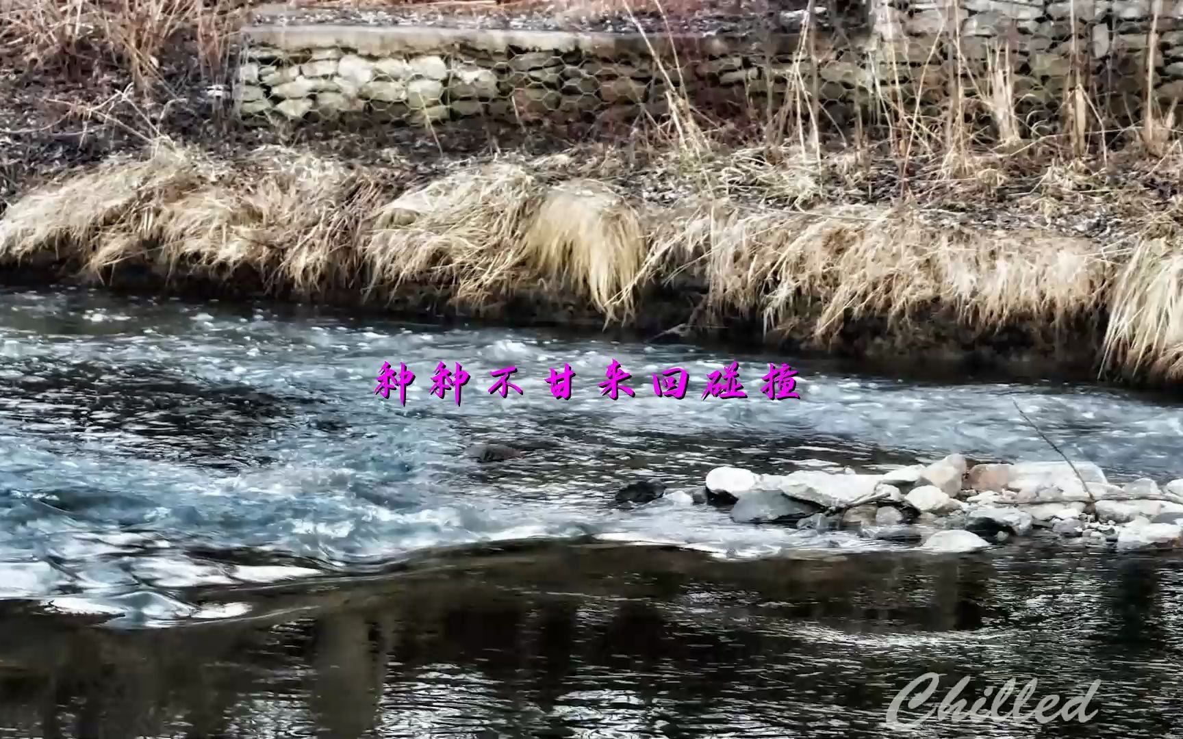 [图]《我不能忘记你》经典歌曲，酷狗音乐制作mv歌词