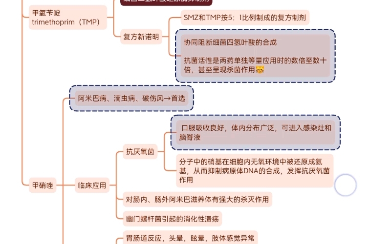 人工合成抗生素和抗病毒药物等药理学思维导图哔哩哔哩bilibili