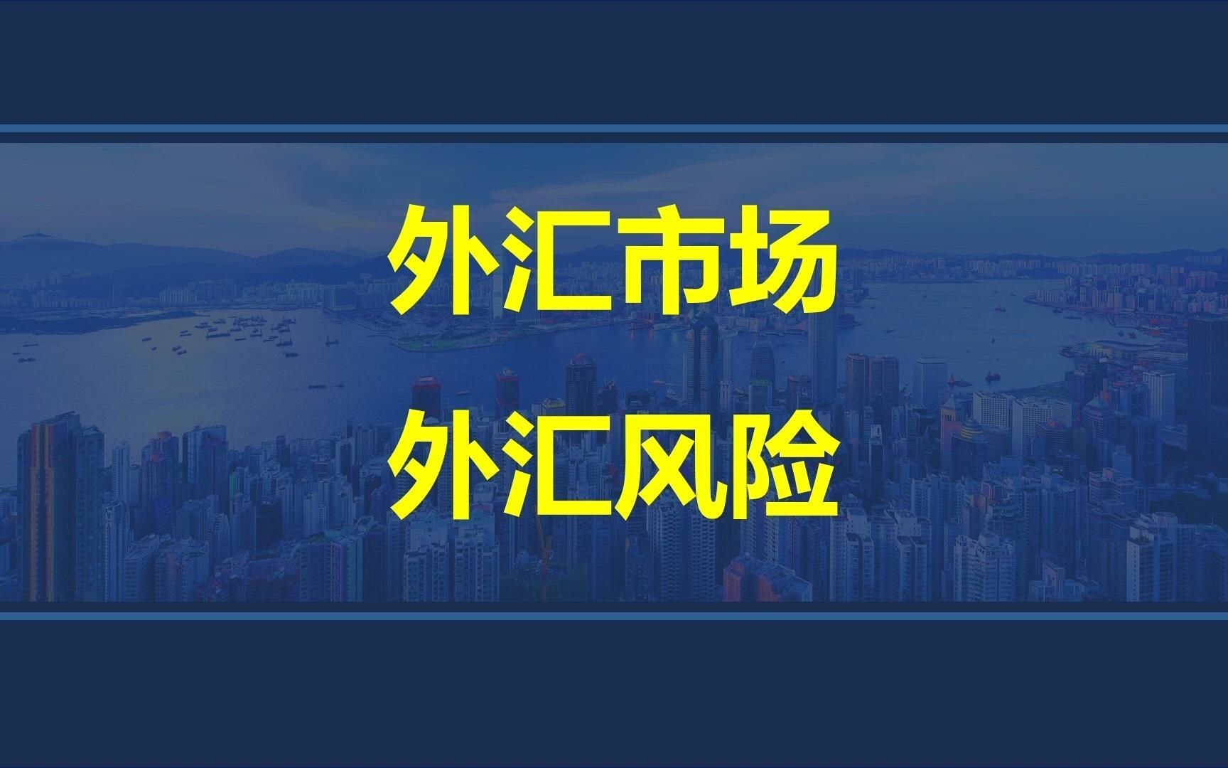 韩玉军版本国际商务考研课程第九章01讲:外汇市场与外汇风险(上)哔哩哔哩bilibili