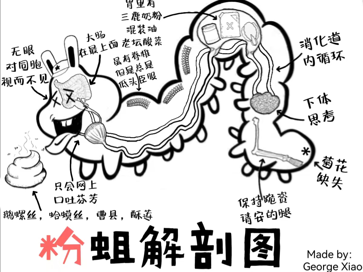 3d黄俄的悲哀-固有认知越低 越会固执己见!
