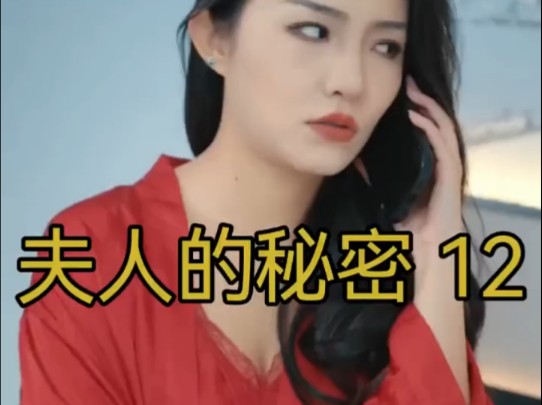 夫人的秘密 12|事还没办,夫人的原配老公来了哔哩哔哩bilibili