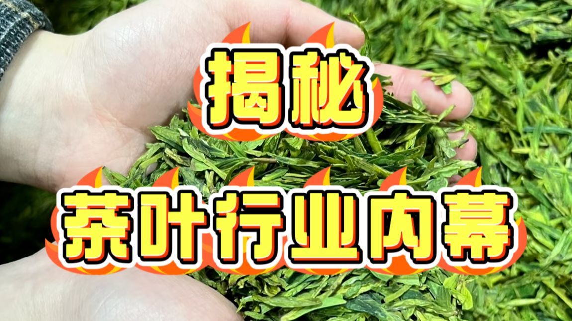 一个视频,揭秘茶叶行业的内幕!哔哩哔哩bilibili