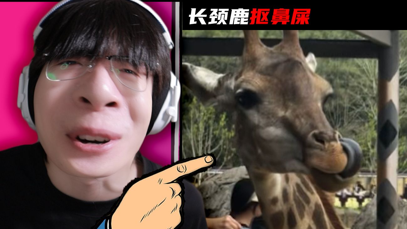 【Reaction】全世界最难拍到的照片