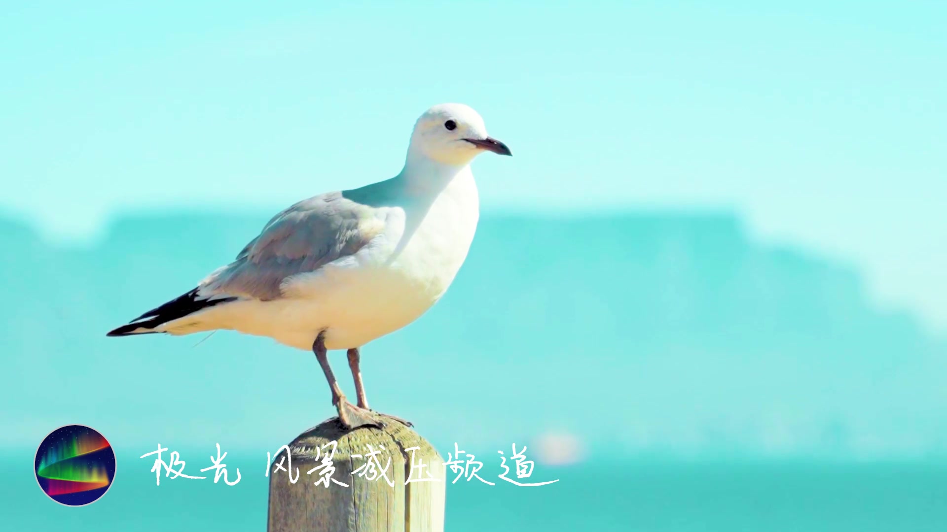 【3小时疗愈海浪声】背景音冥想放松Spa疗愈,伴随海浪声入睡,深度睡眠哔哩哔哩bilibili