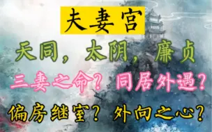 Descargar video: 精神情绪类星曜：天同，太阴，廉贞，落入到夫妻宫会怎么样？