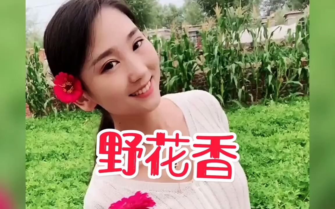 [图]一首激情的歌曲《野花香》带给你们