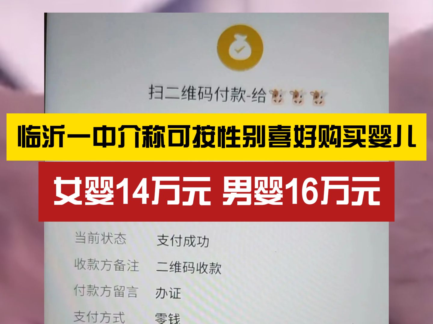 明码标价?临沂一中介称可按性别喜好购买婴儿哔哩哔哩bilibili