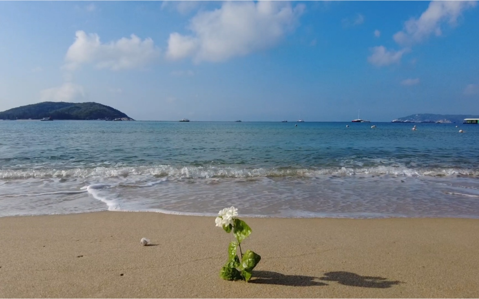 [图]海上日记