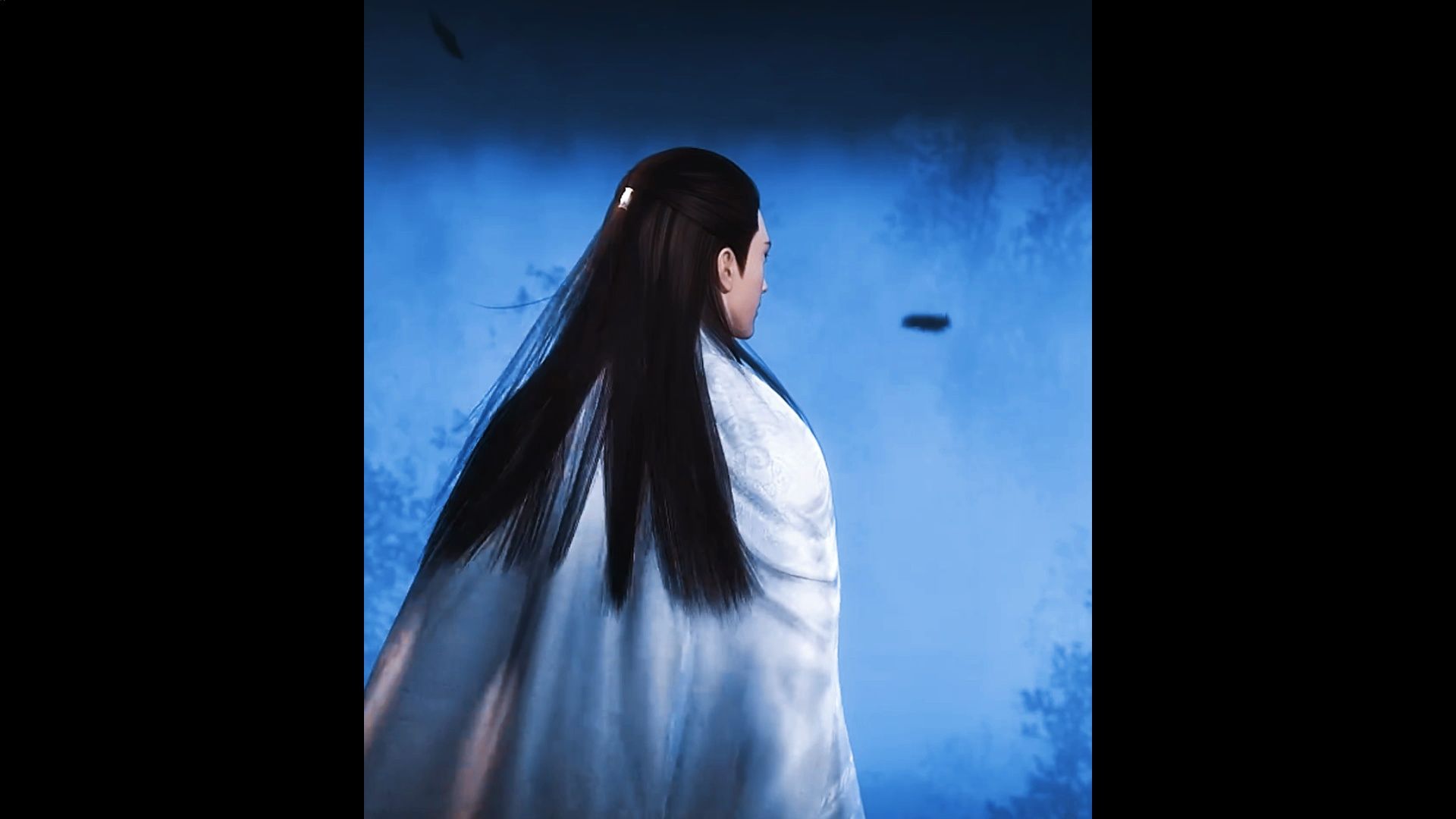 嬴政这长身玉立的背影!