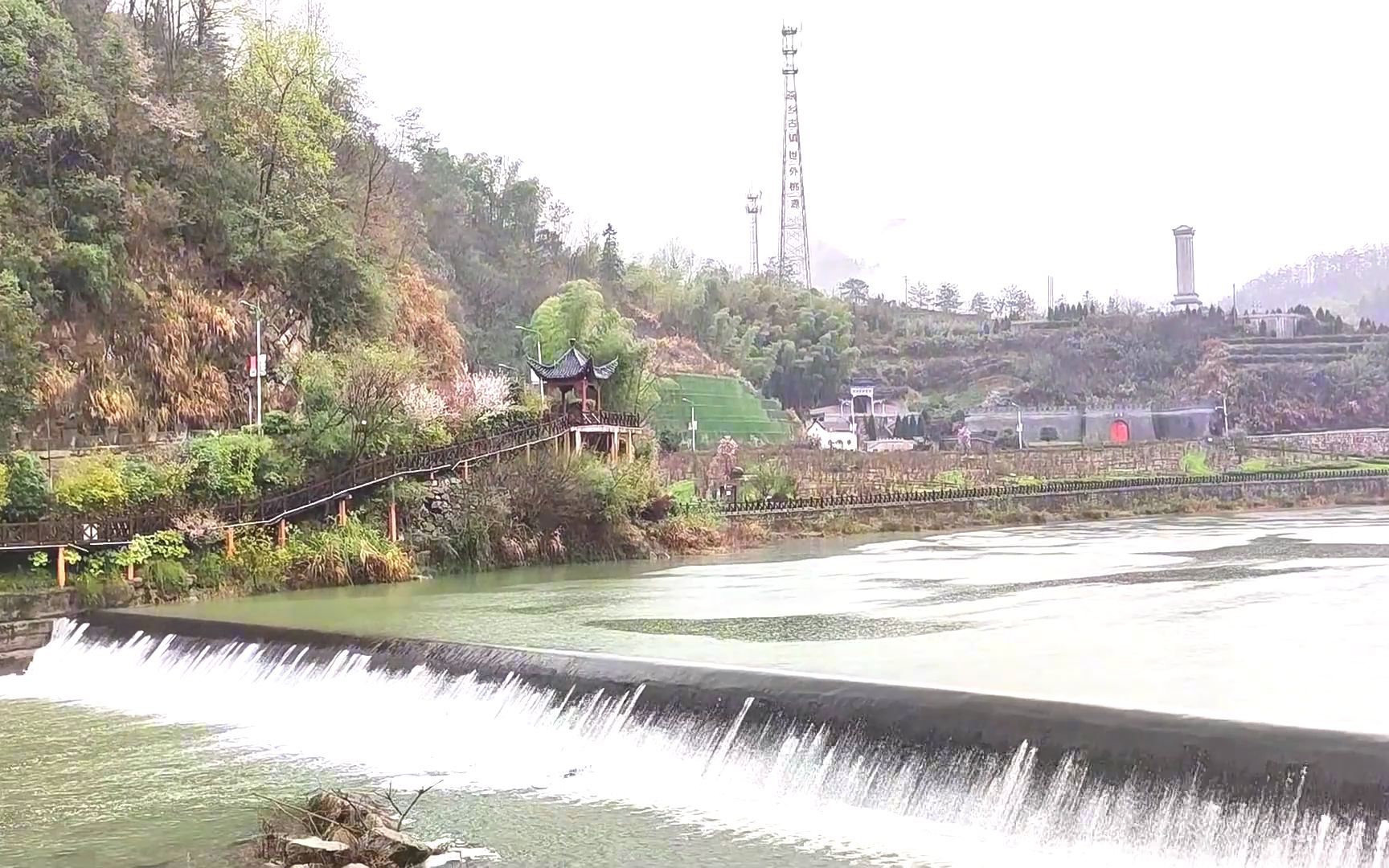 [图]#山清水秀的地方 #茶人茶事茶生活 江北茶乡