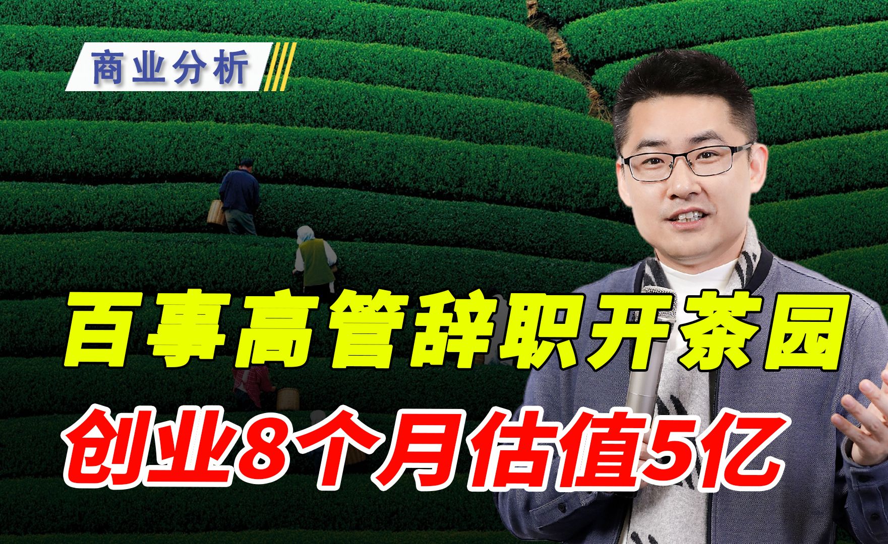 百事高管辞职开茶园,一天卖完未来40年的茶,创业8个月估值5亿哔哩哔哩bilibili