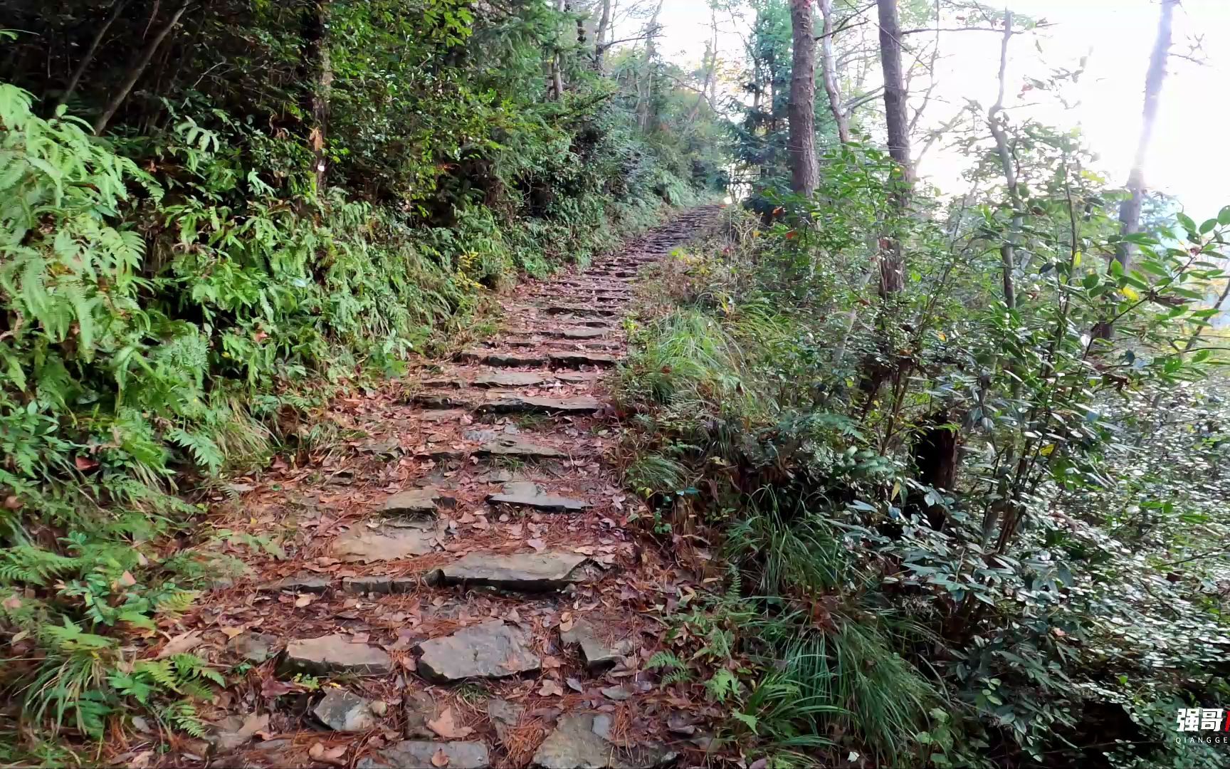 浙江天台南黄古道,修建于1000多年前,古时通商的古道哔哩哔哩bilibili