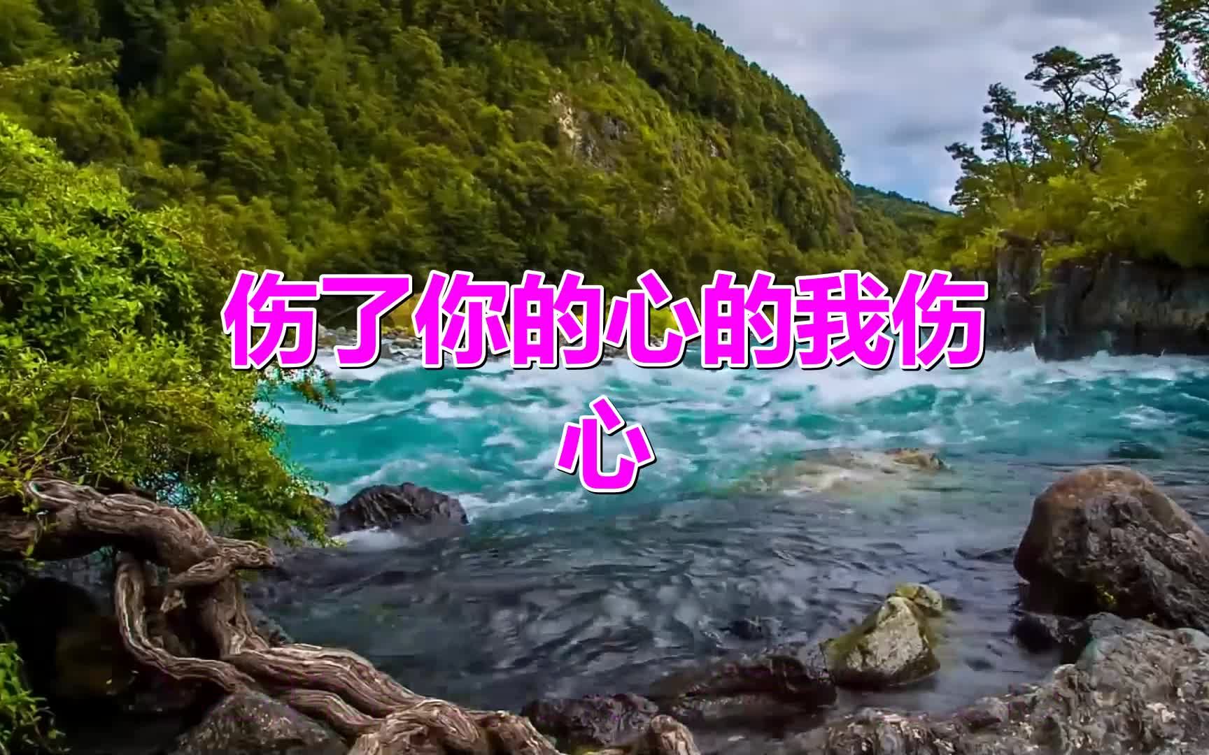 [图]一首经典歌曲《伤了你的心的我伤心》,优美的歌声,回味悠长!