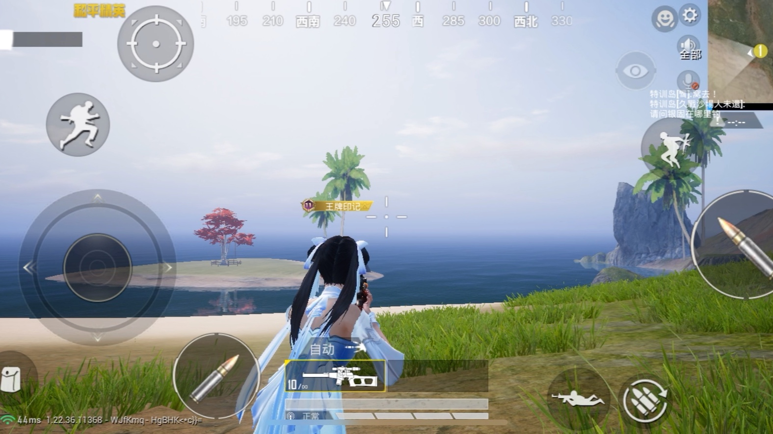 和平精英 vss 烈焰拳霸 射手步枪 皮肤
