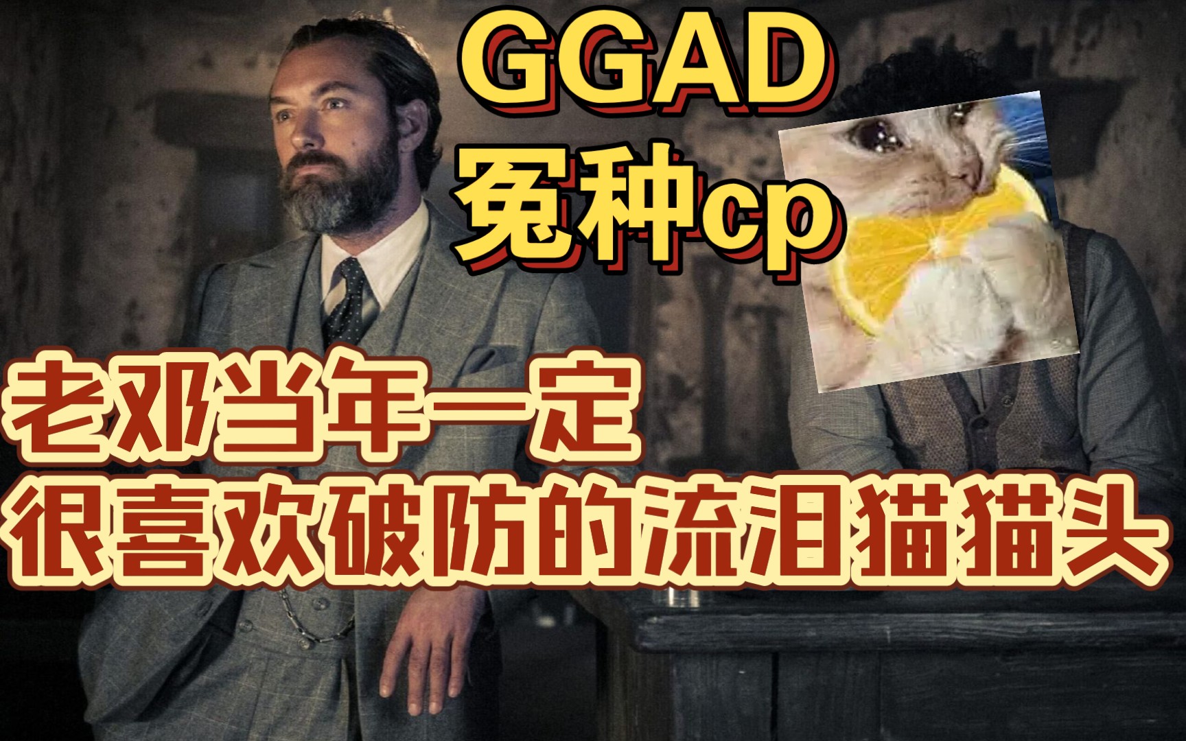 [图]【GGAD】年少不知格皇好，错把汤姆当成宝（格林德沃他又破防了）