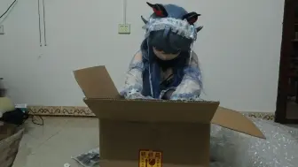 新头开箱！