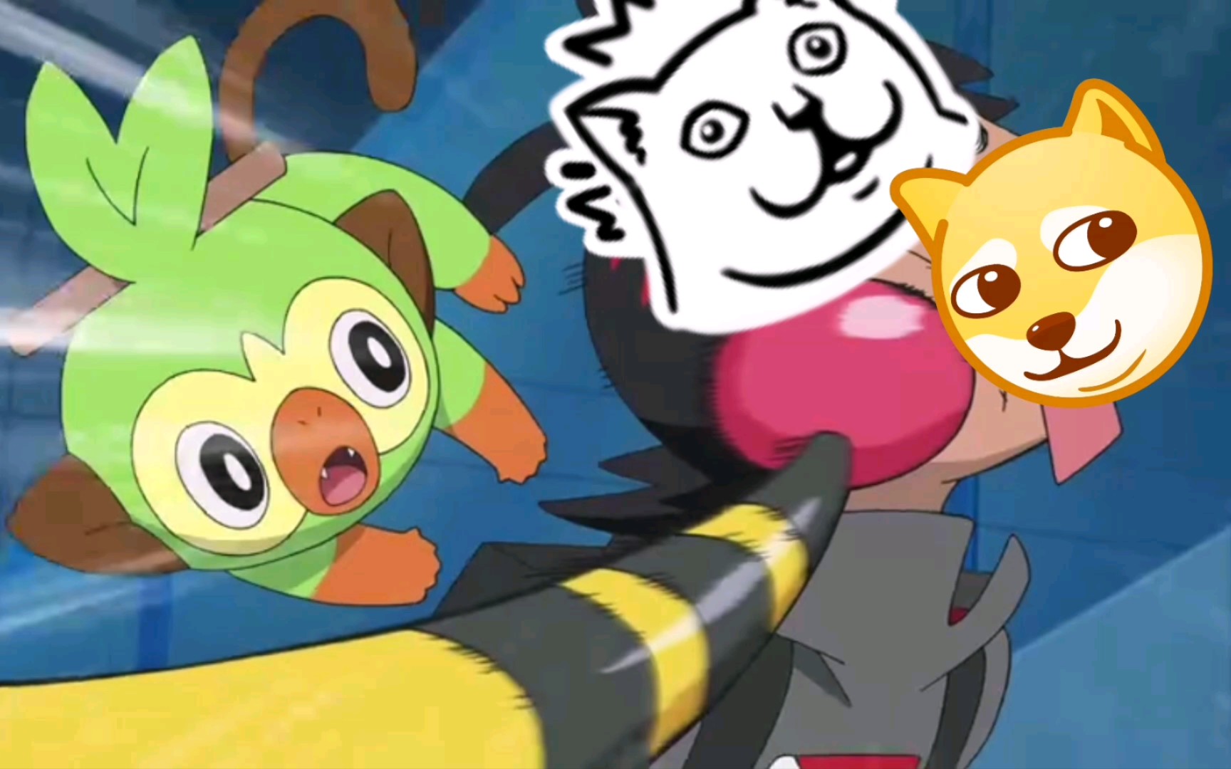 哔哩哔哩_bilibili