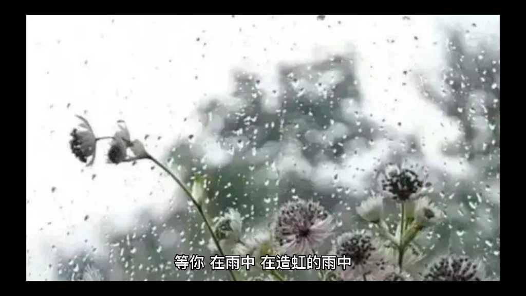 [图]在雨中，等你