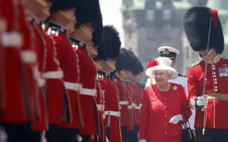 熊皮帽 哔哩哔哩 Bilibili